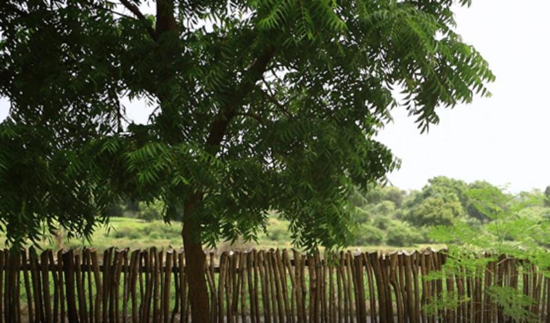Yala Leopard Lodge Exterior foto
